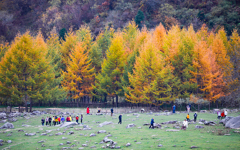 2023年10月27日，深秋時(shí)節(jié)的陜西秦嶺太子嶺漫山紅黃、色彩交織，進(jìn)入最佳觀賞期。